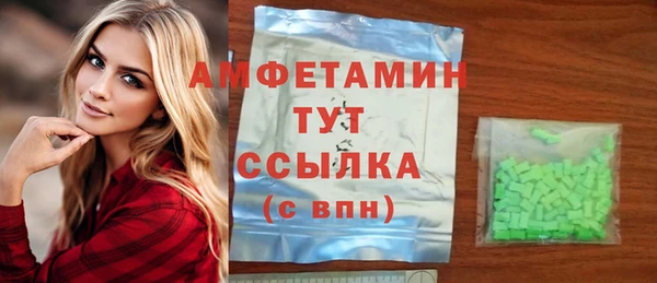 гидра Арсеньев