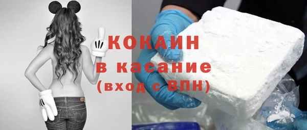 гидра Арсеньев