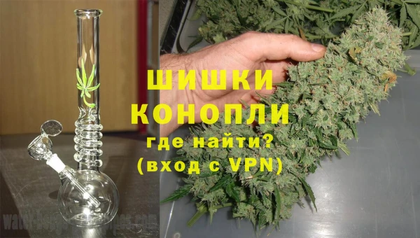 гидра Арсеньев