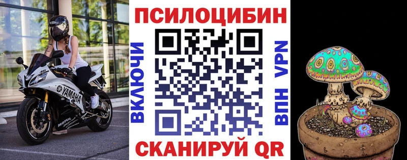 Галлюциногенные грибы MAGIC MUSHROOMS  магазин продажи наркотиков  Волгодонск 